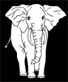 раскраска детская онлайн слон